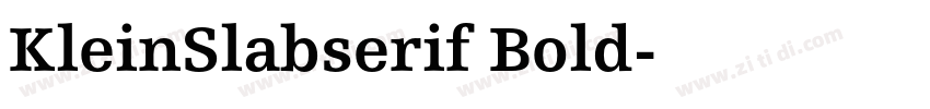 KleinSlabserif Bold字体转换
